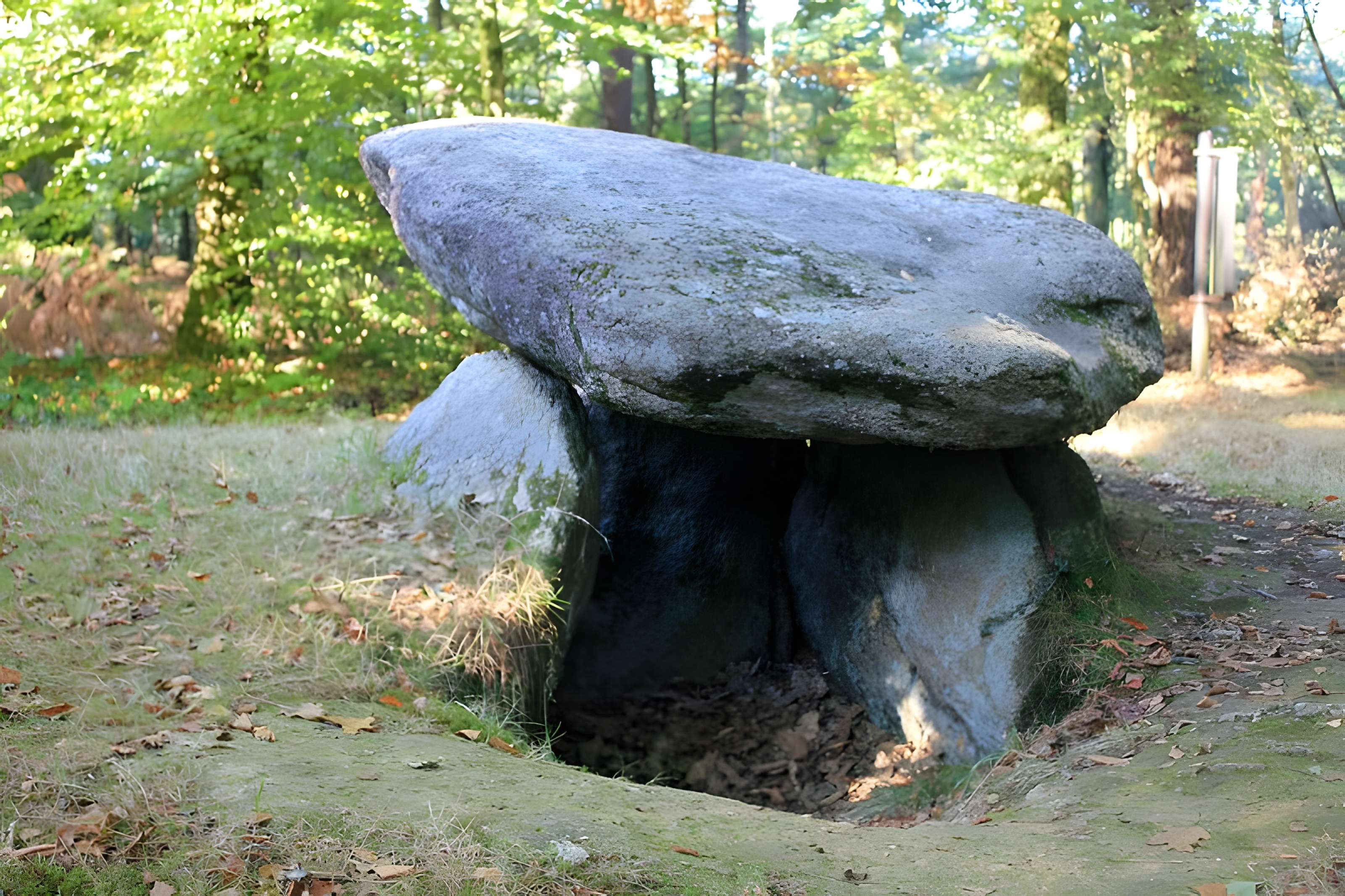 Dolmen de Rode à La Chapelle-Neuve