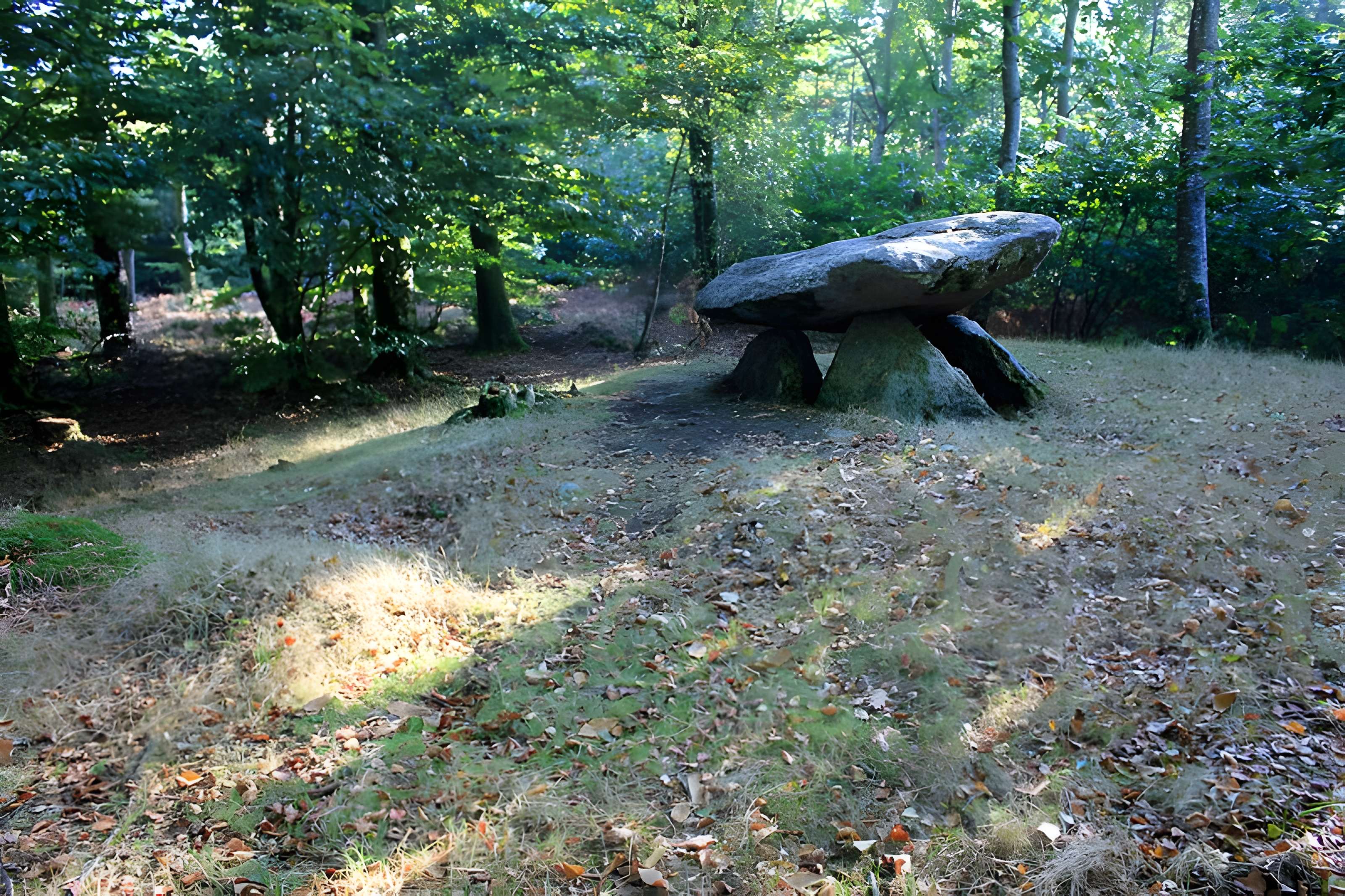 Dolmen de Rode à La Chapelle-Neuve