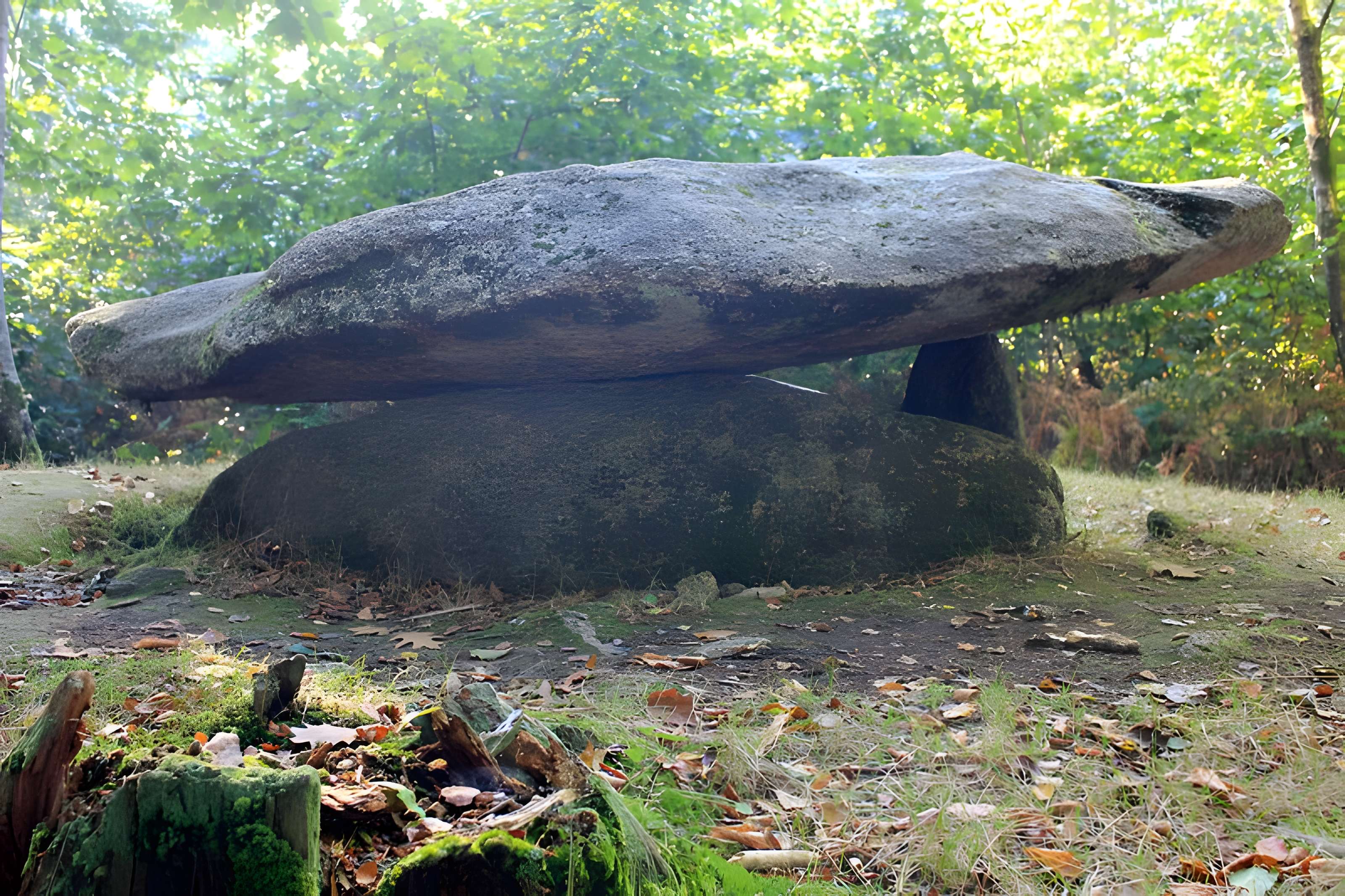 Dolmen de Rode à La Chapelle-Neuve