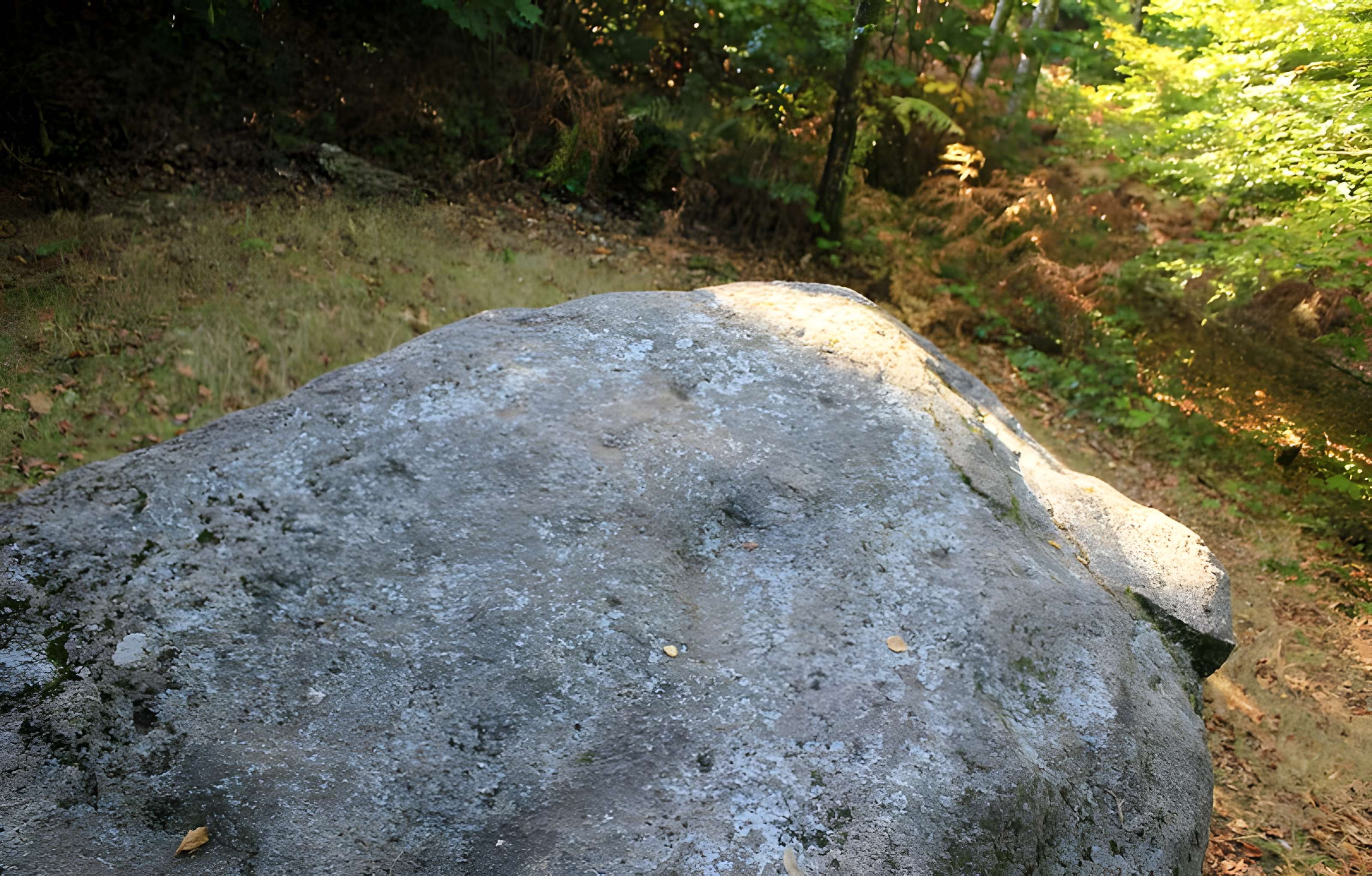 Dolmen de Rode à La Chapelle-Neuve