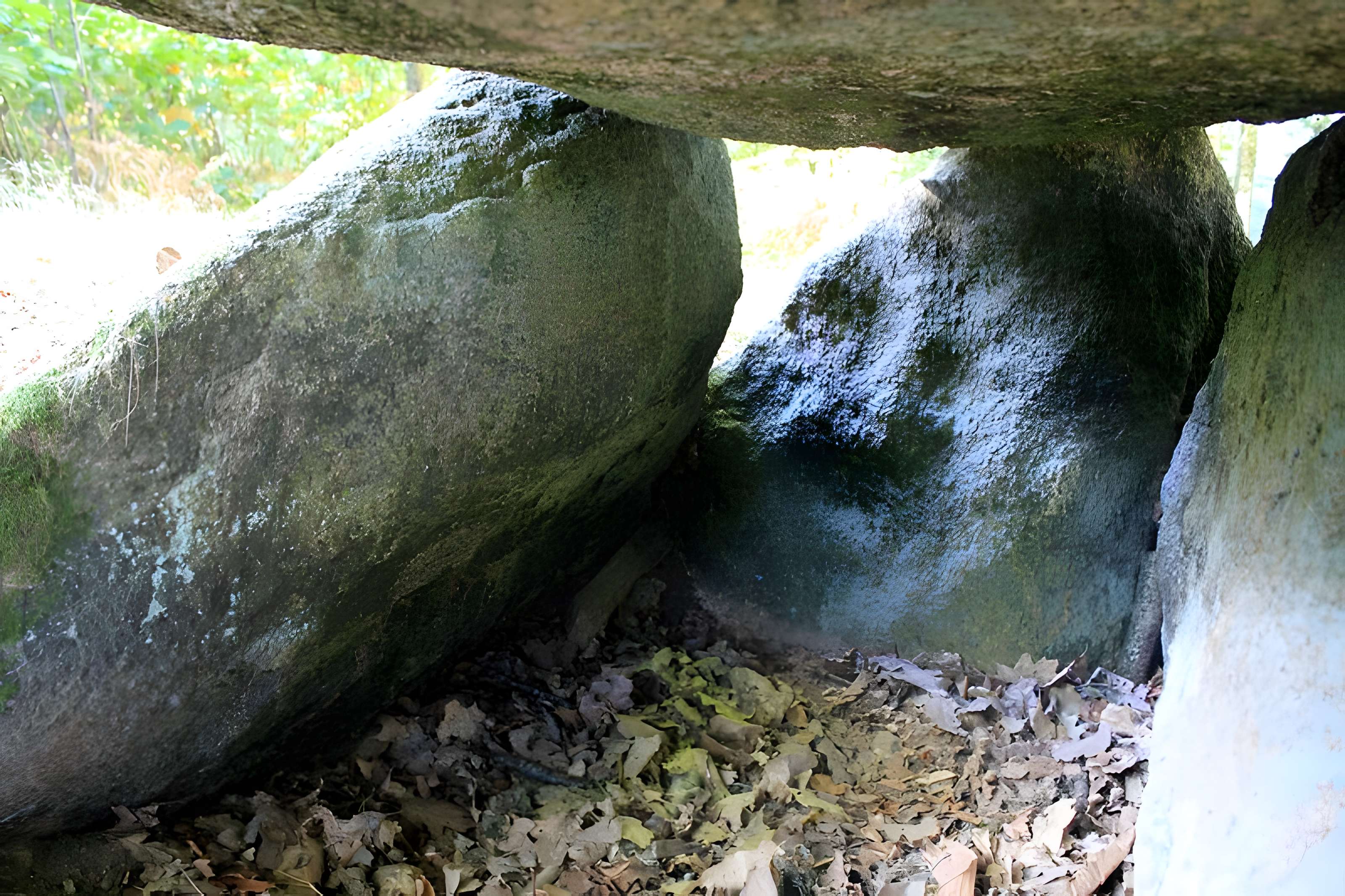 Dolmen de Rode à La Chapelle-Neuve