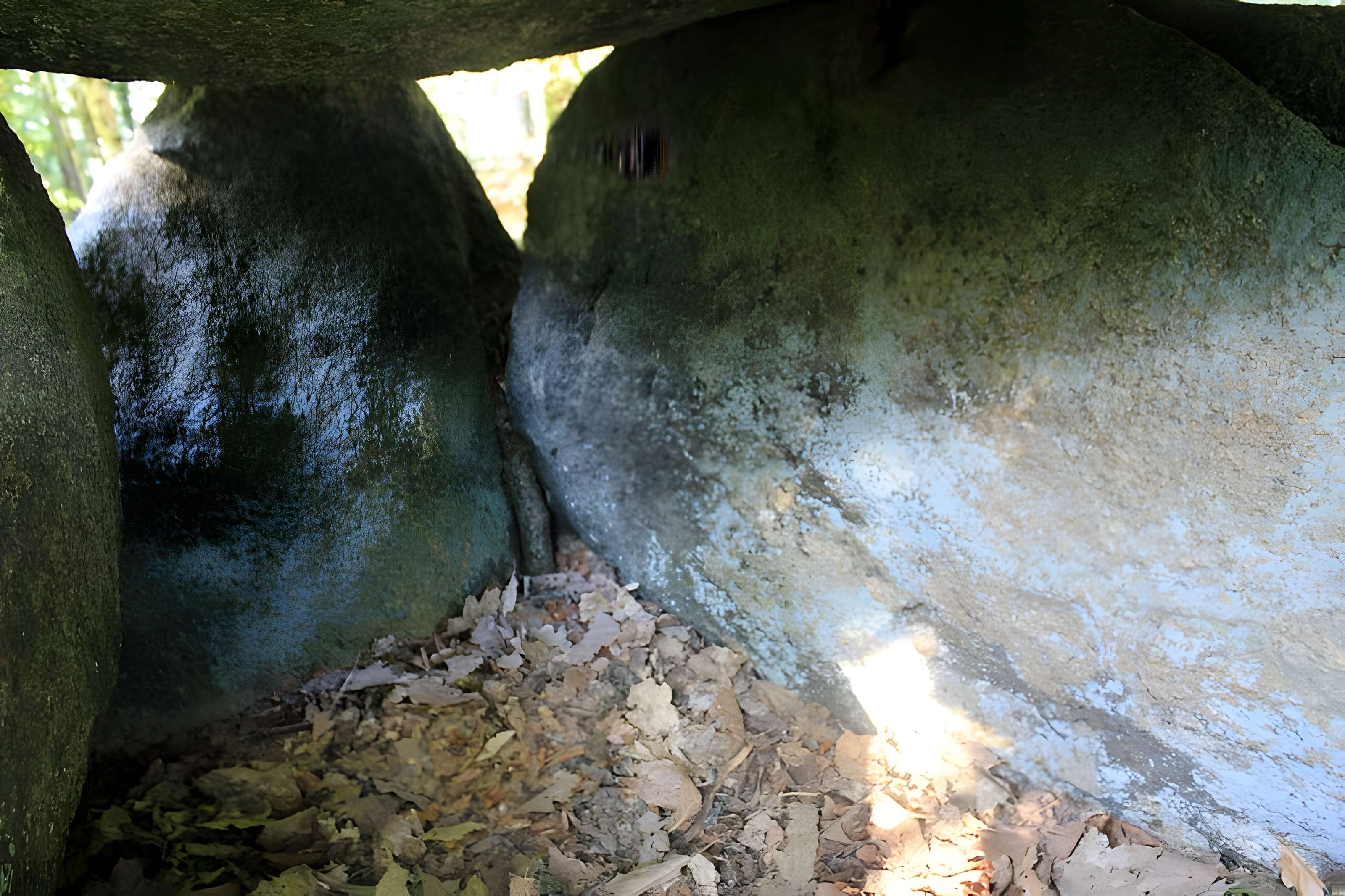 Dolmen de Rode à La Chapelle-Neuve