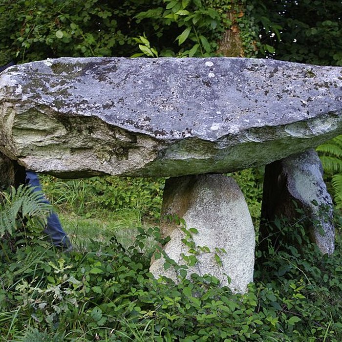 Photo de Dolmen de Rouffignac à Javerdat