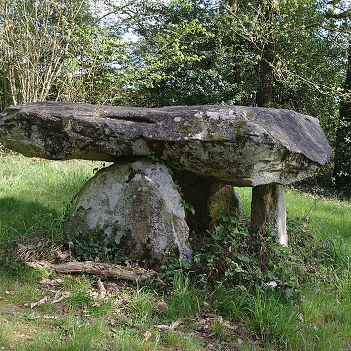 Photo de Dolmen de Rouffignac à Javerdat