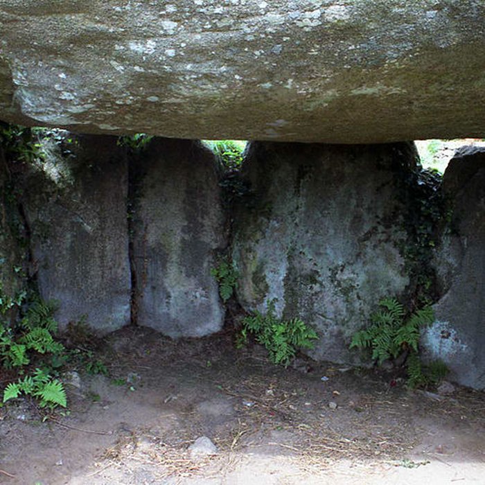 Photo de Dolmen de Runesto à Plouharnel