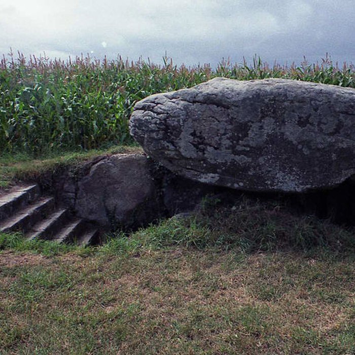 Photo de Dolmen de Runesto à Plouharnel