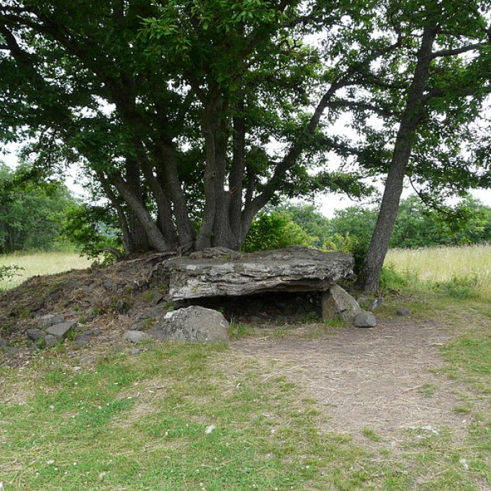 Photo de Dolmen de Saillant à Saint-Nectaire