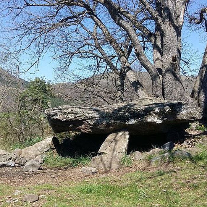 Photo de Dolmen de Saillant à Saint-Nectaire