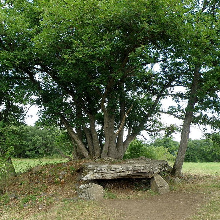 Photo de Dolmen de Saillant à Saint-Nectaire