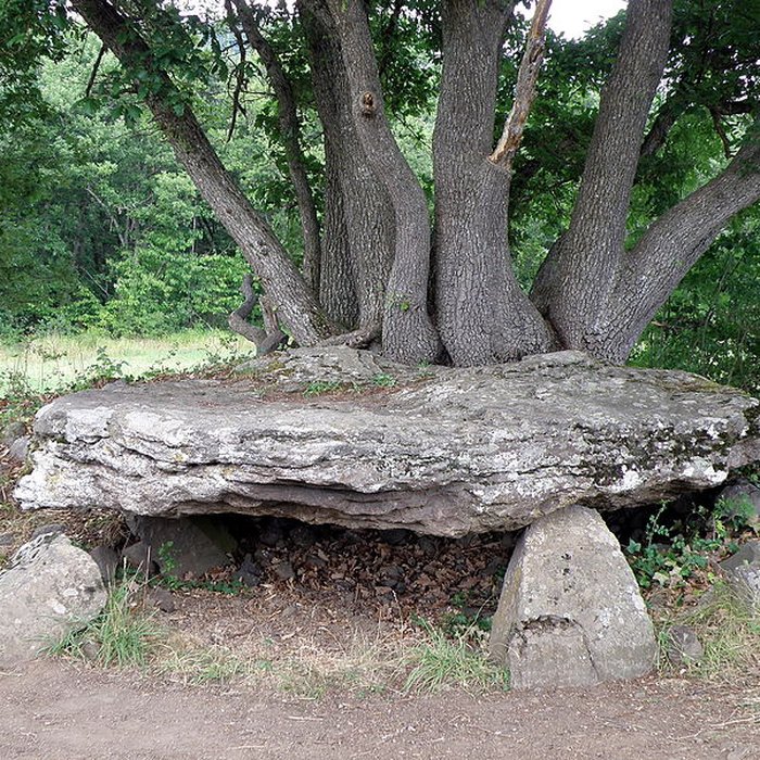 Photo de Dolmen de Saillant à Saint-Nectaire