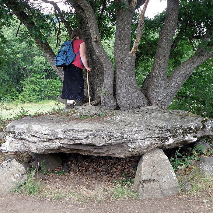 Photo de Dolmen de Saillant à Saint-Nectaire