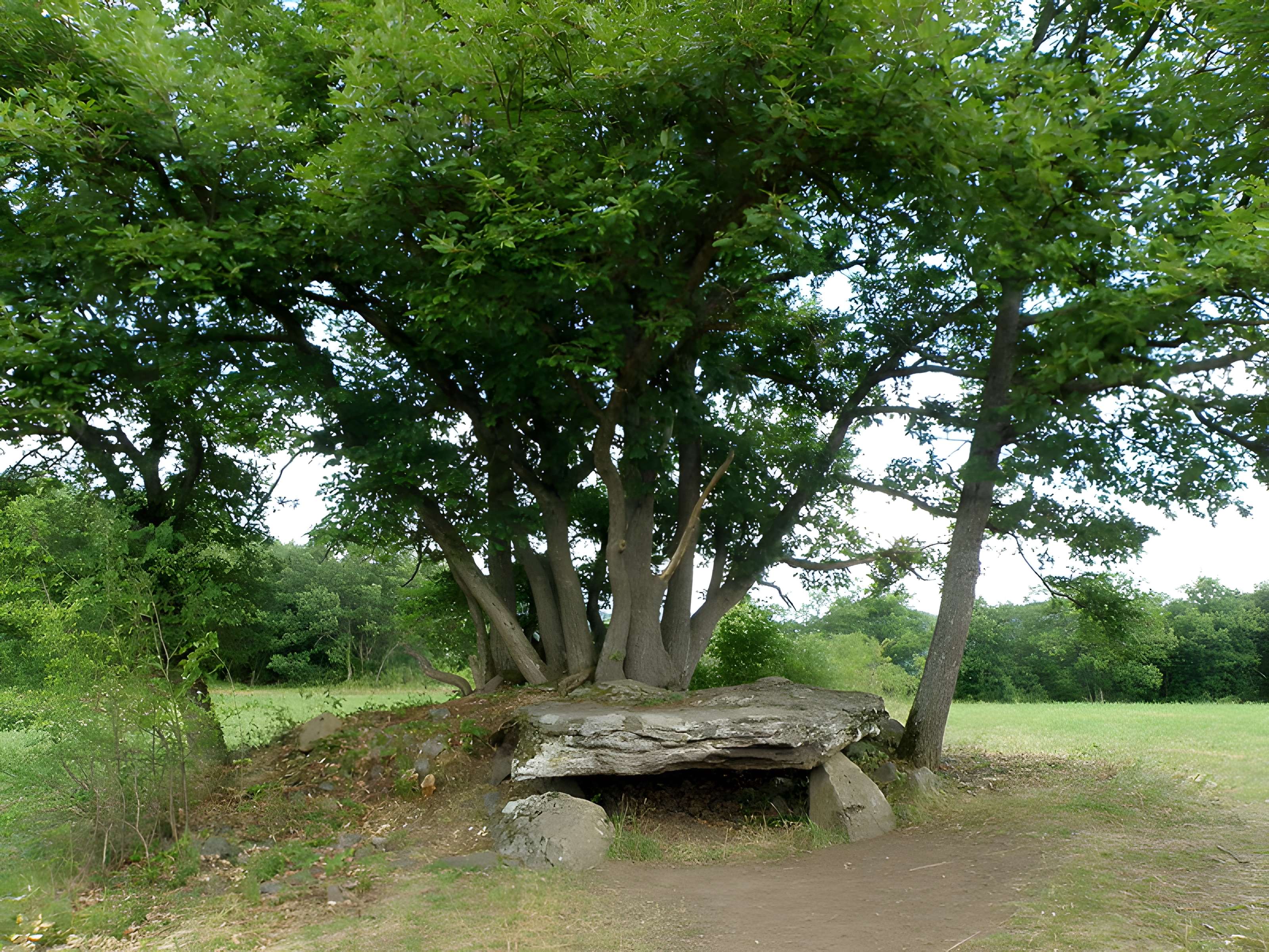 Dolmen de Saillant à Saint-Nectaire
