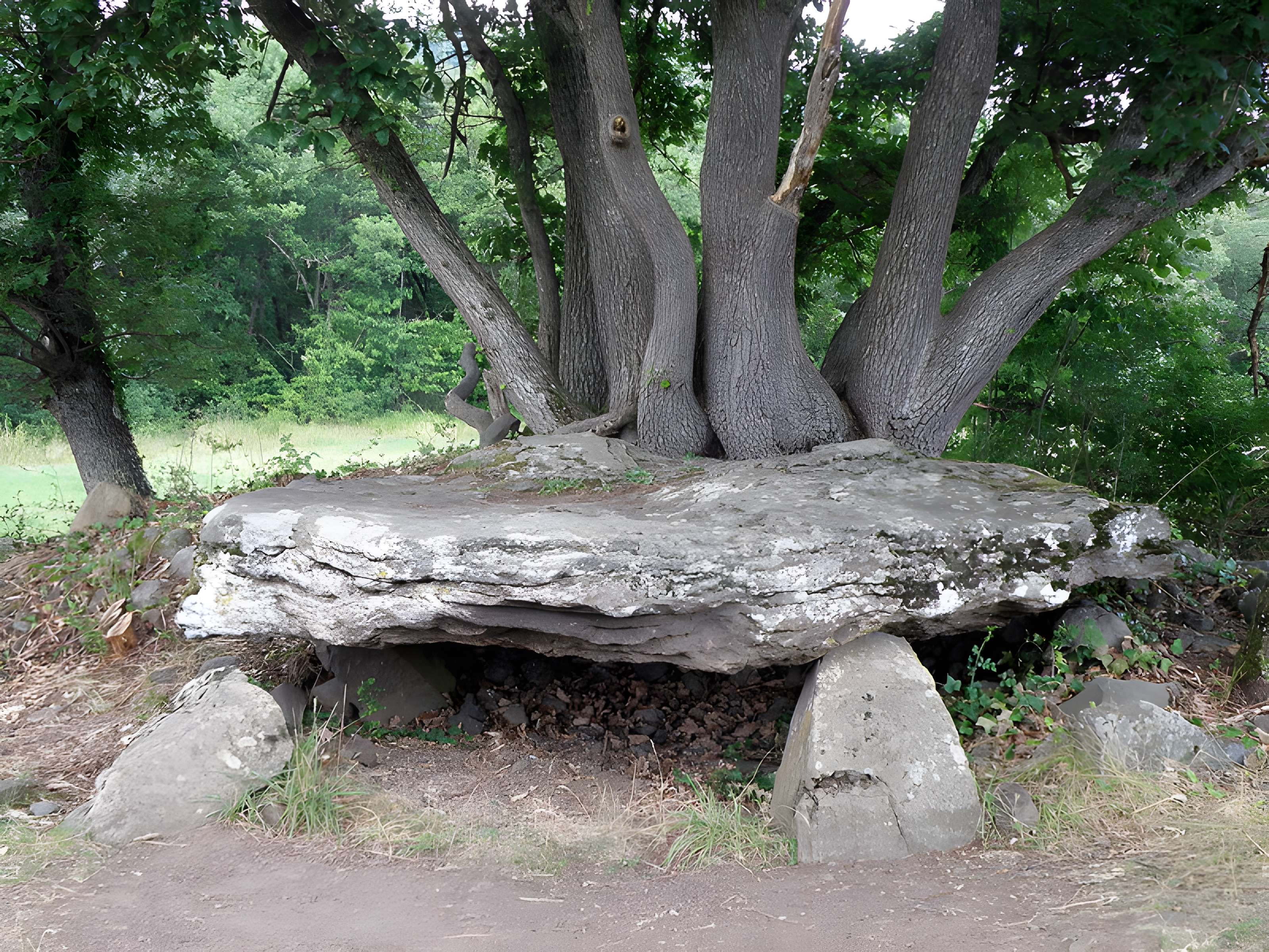 Dolmen de Saillant à Saint-Nectaire