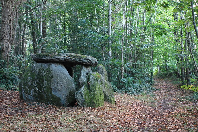 Photo de Dolmen de Tri-Men-de-Castello à Kervignac