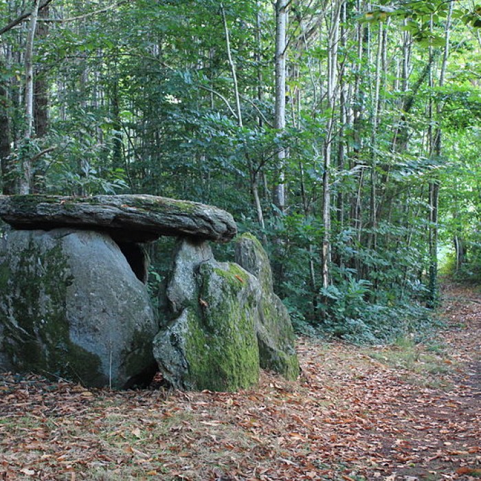 Photo de Dolmen de Tri-Men-de-Castello à Kervignac