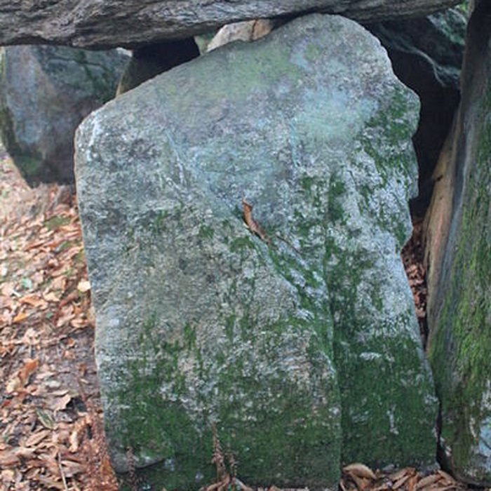 Photo de Dolmen de Tri-Men-de-Castello à Kervignac