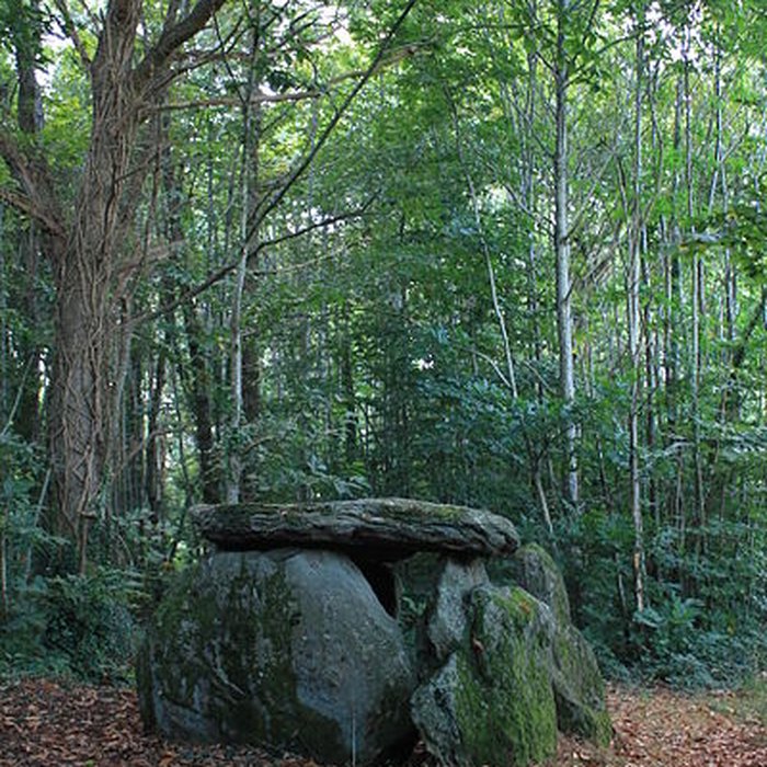 Photo de Dolmen de Tri-Men-de-Castello à Kervignac