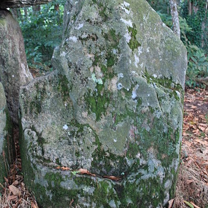 Photo de Dolmen de Tri-Men-de-Castello à Kervignac