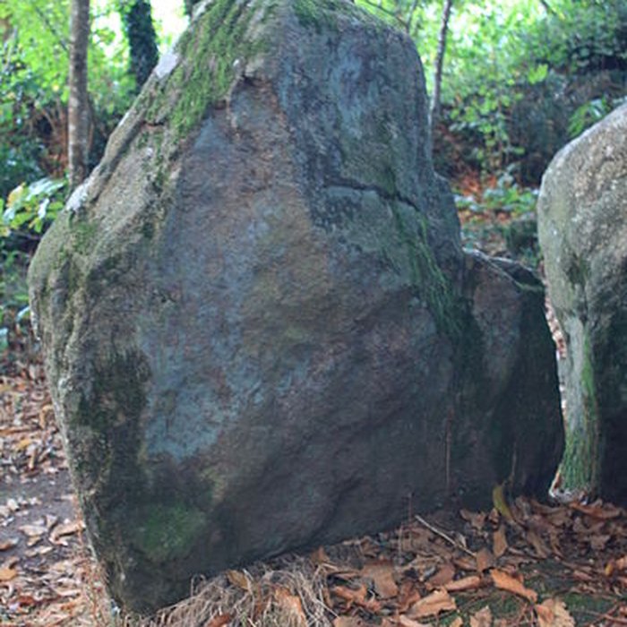 Photo de Dolmen de Tri-Men-de-Castello à Kervignac