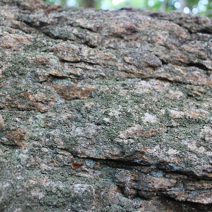 Photo de Dolmen de Tri-Men-de-Castello à Kervignac