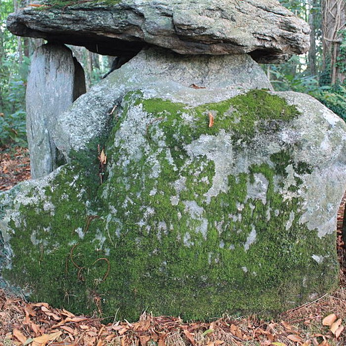 Photo de Dolmen de Tri-Men-de-Castello à Kervignac