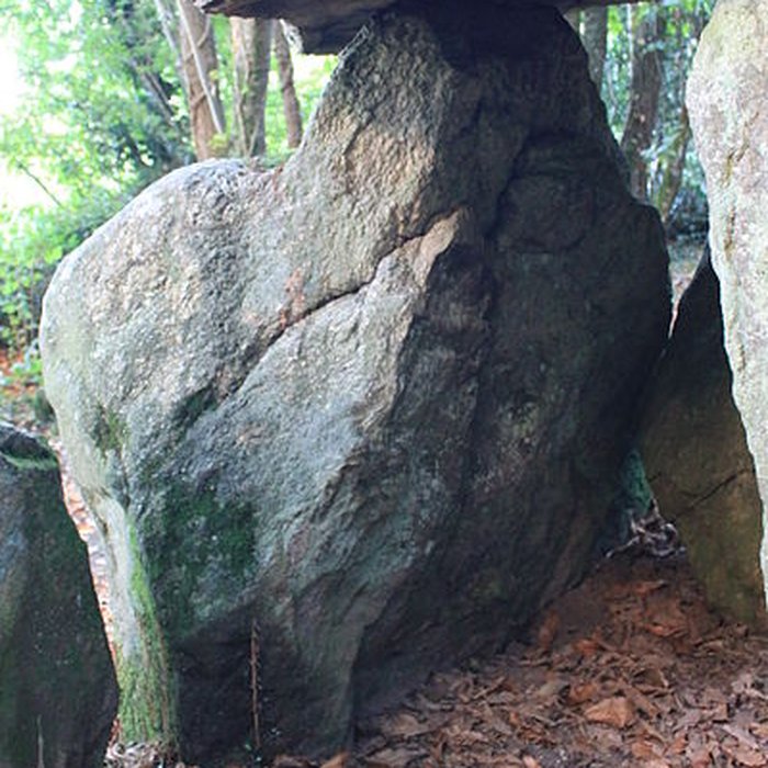 Photo de Dolmen de Tri-Men-de-Castello à Kervignac