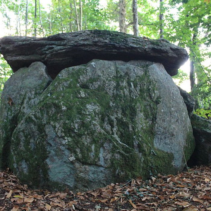 Photo de Dolmen de Tri-Men-de-Castello à Kervignac