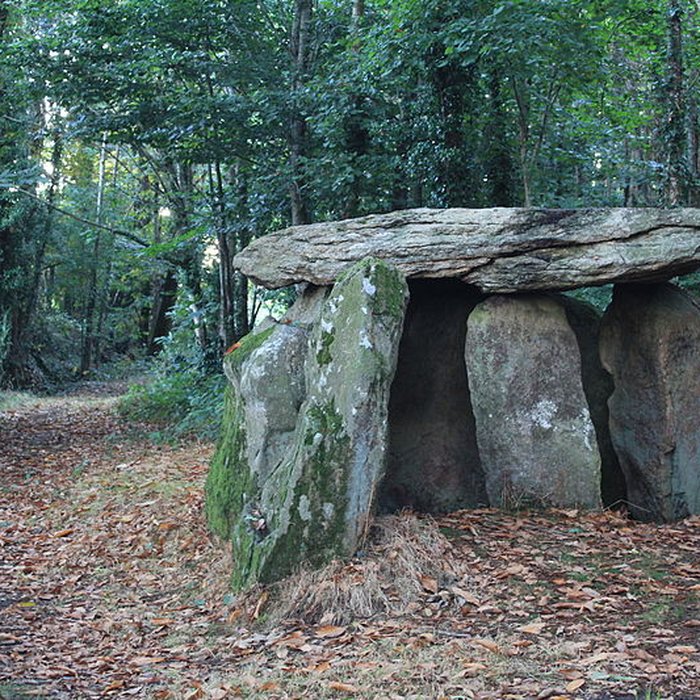 Photo de Dolmen de Tri-Men-de-Castello à Kervignac