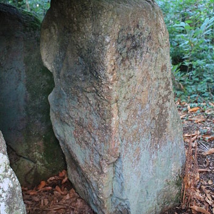 Photo de Dolmen de Tri-Men-de-Castello à Kervignac