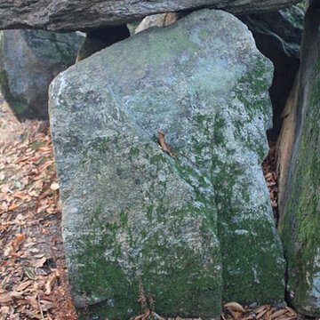 Dolmen de Tri-Men-de-Castello à Kervignac