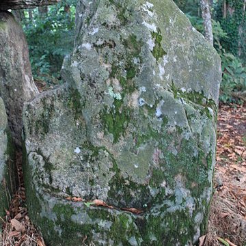 Dolmen de Tri-Men-de-Castello à Kervignac