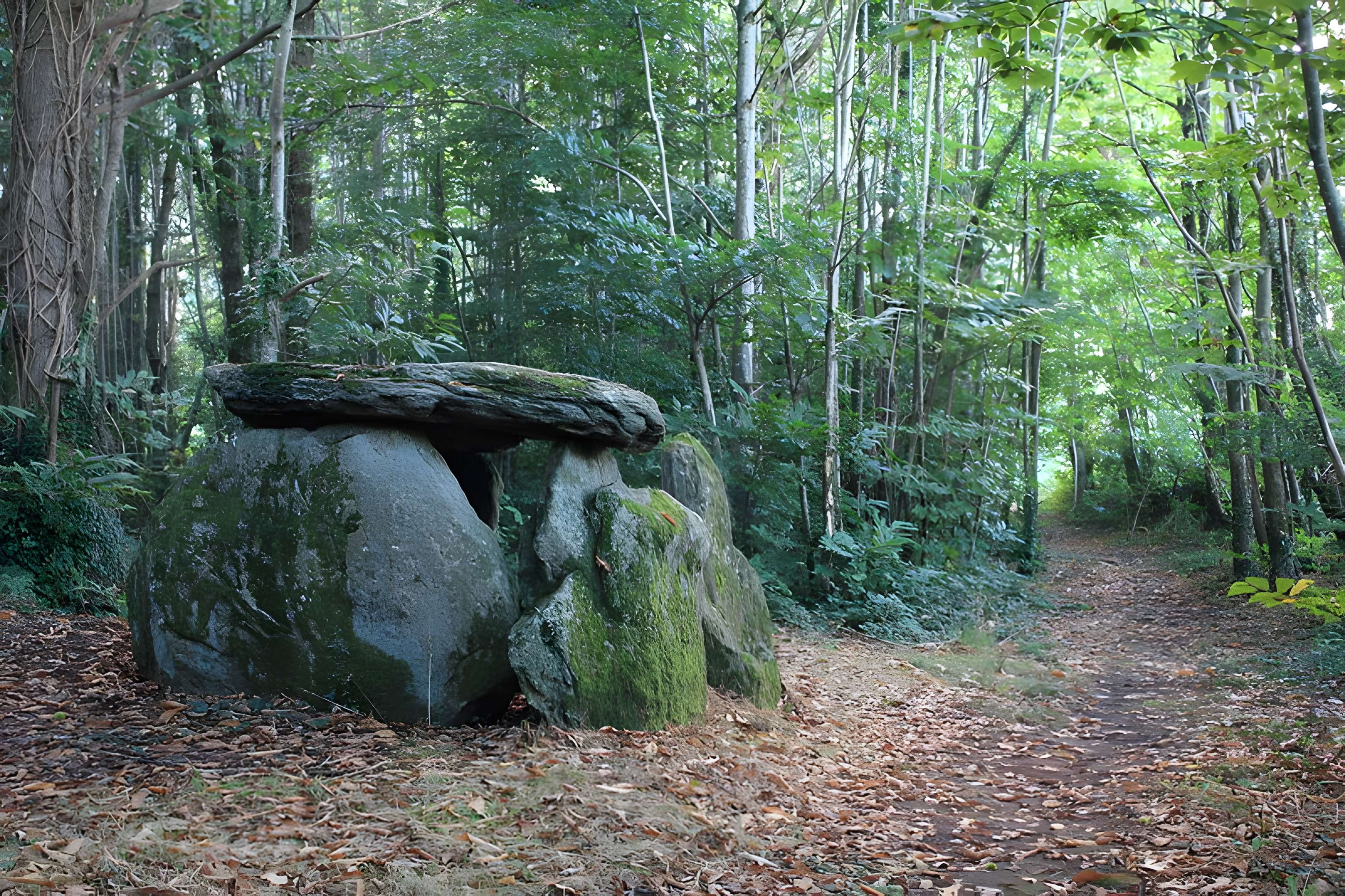 Dolmen de Tri-Men-de-Castello à Kervignac 