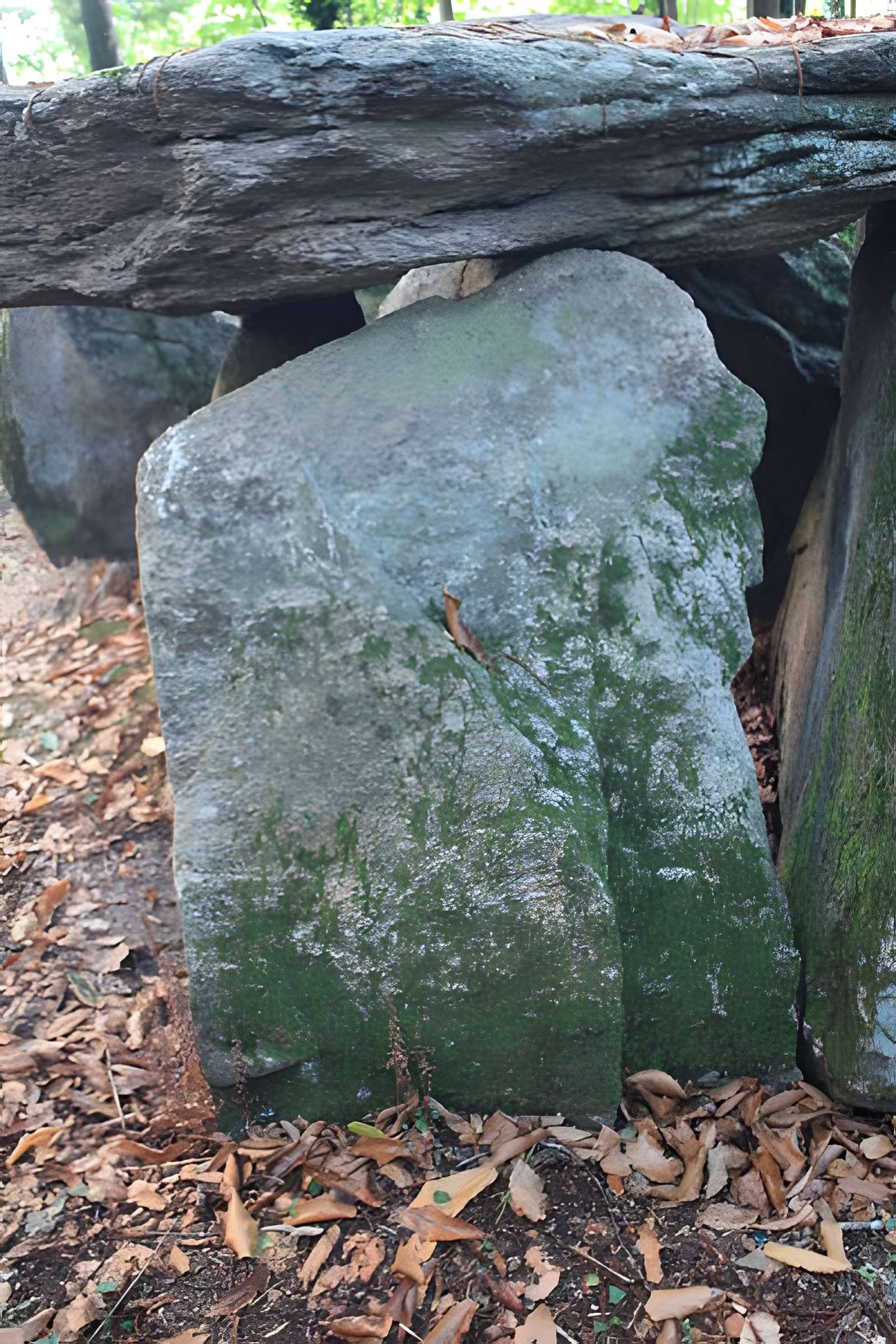 Dolmen de Tri-Men-de-Castello à Kervignac