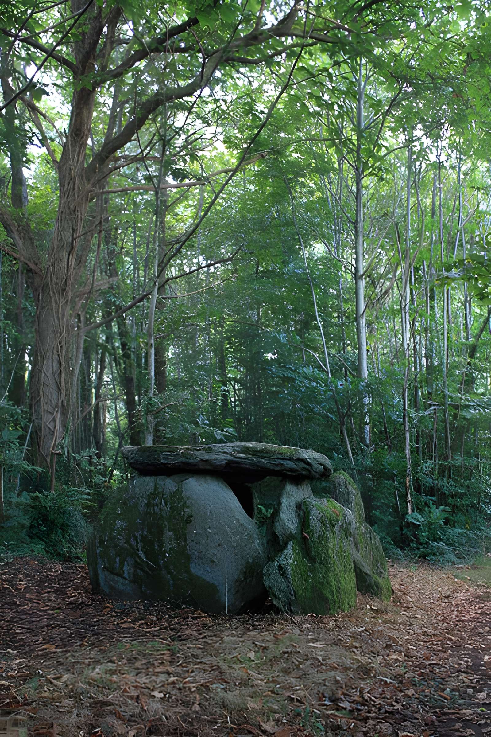 Dolmen de Tri-Men-de-Castello à Kervignac