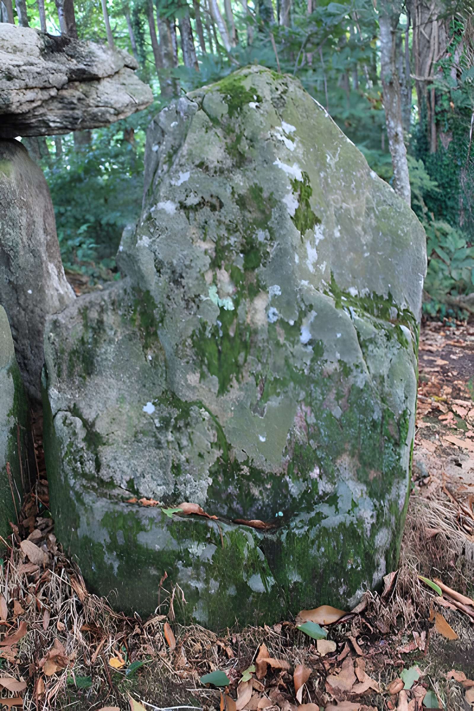 Dolmen de Tri-Men-de-Castello à Kervignac
