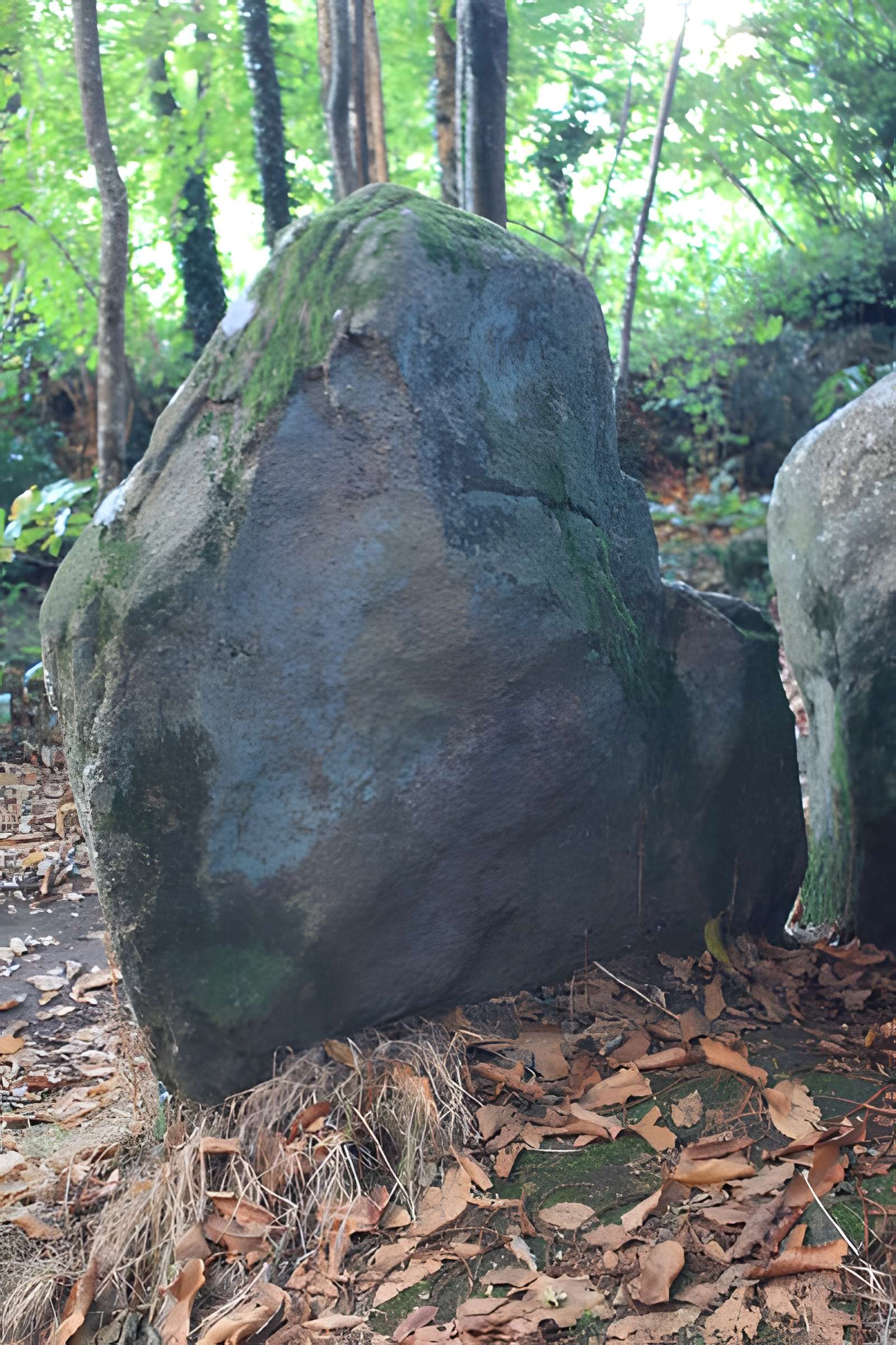 Dolmen de Tri-Men-de-Castello à Kervignac