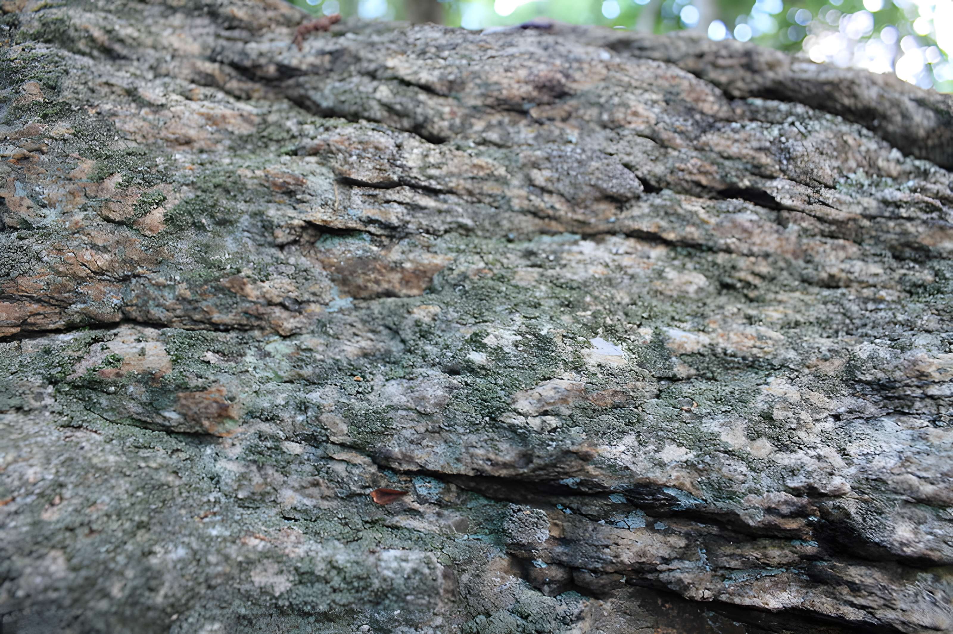 Dolmen de Tri-Men-de-Castello à Kervignac