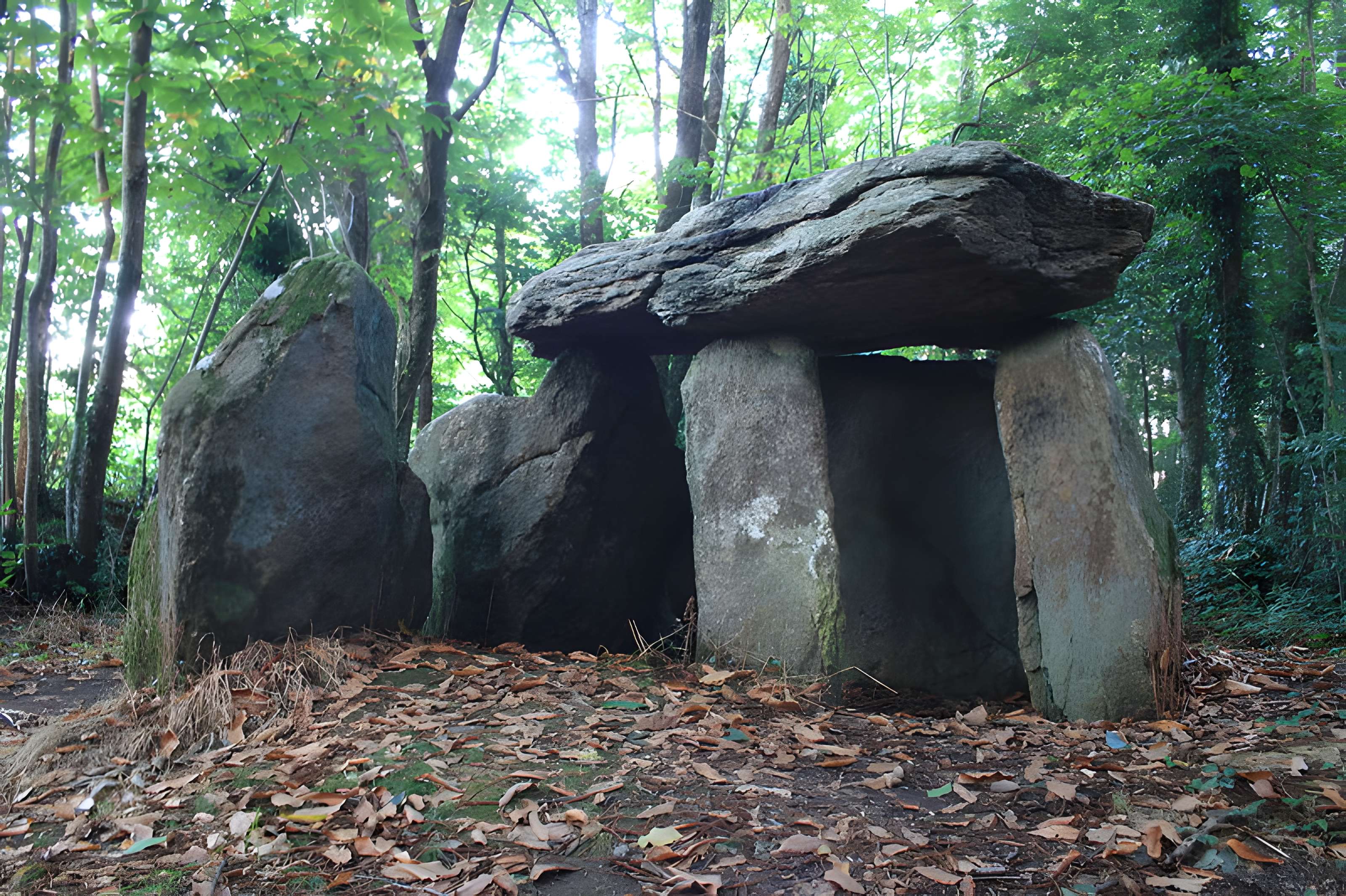 Dolmen de Tri-Men-de-Castello à Kervignac