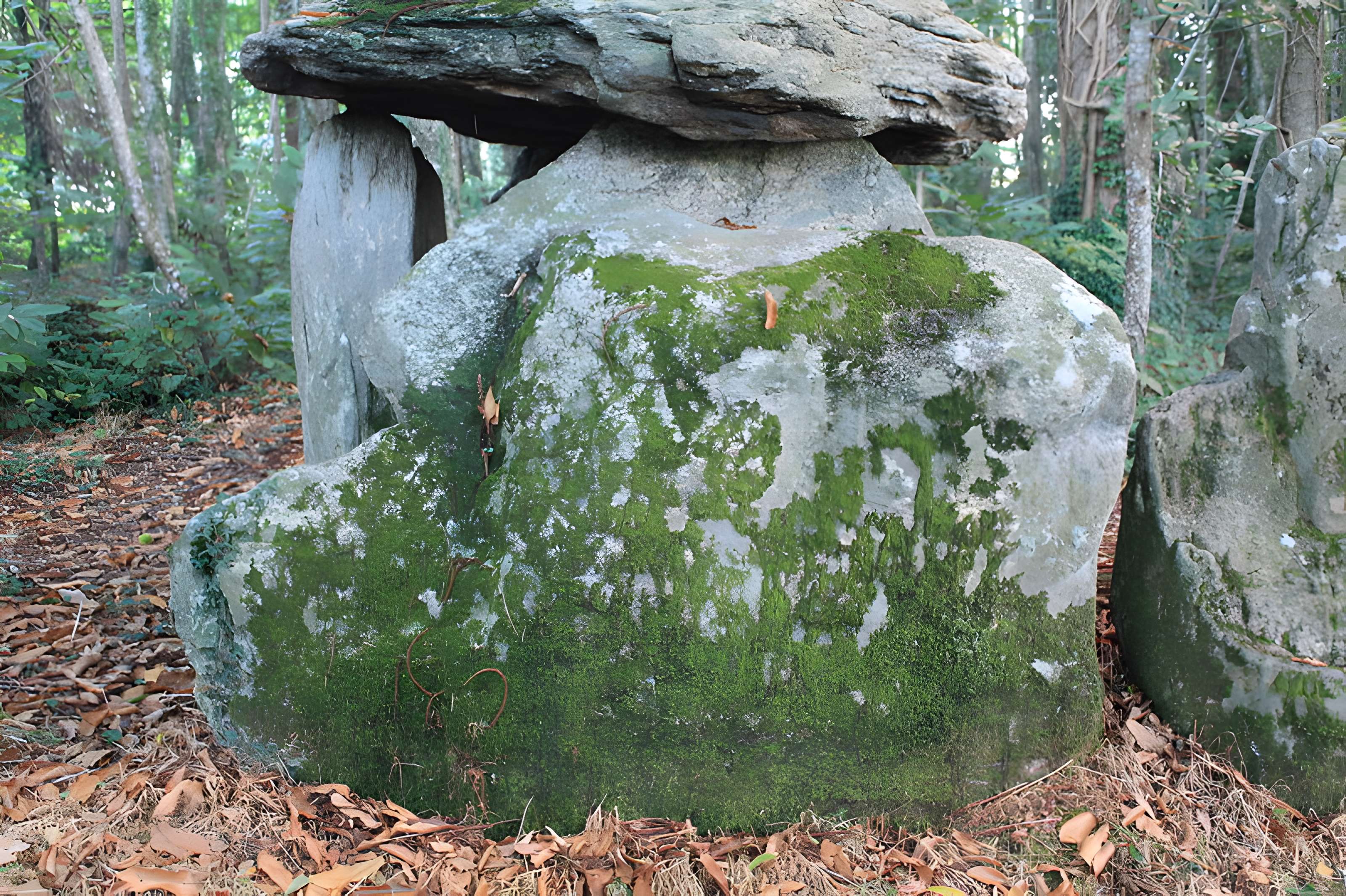Dolmen de Tri-Men-de-Castello à Kervignac