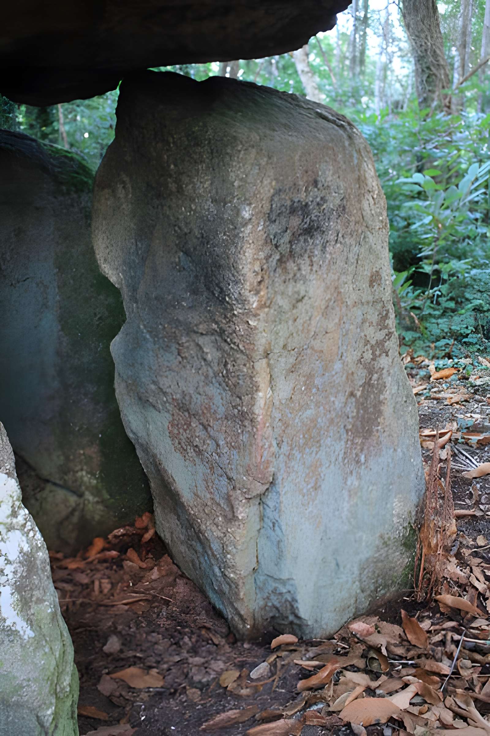 Dolmen de Tri-Men-de-Castello à Kervignac