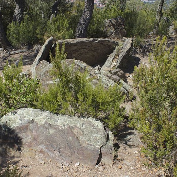 Photo de Dolmen des Collets de Cotlliure à Argelès-sur-Mer