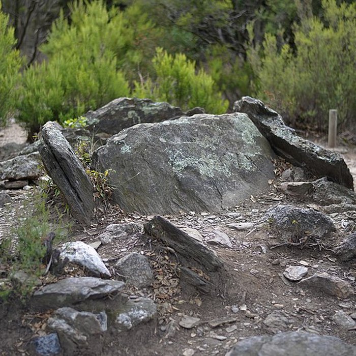 Photo de Dolmen des Collets de Cotlliure à Argelès-sur-Mer