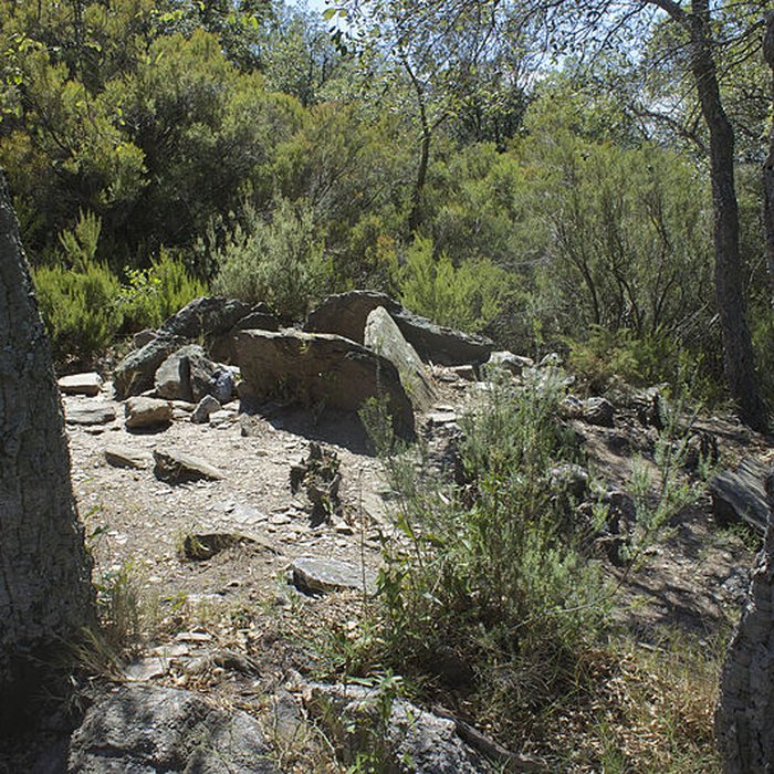 Photo de Dolmen des Collets de Cotlliure à Argelès-sur-Mer