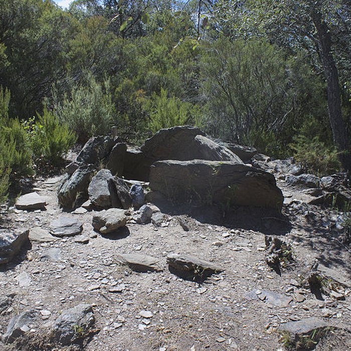 Photo de Dolmen des Collets de Cotlliure à Argelès-sur-Mer