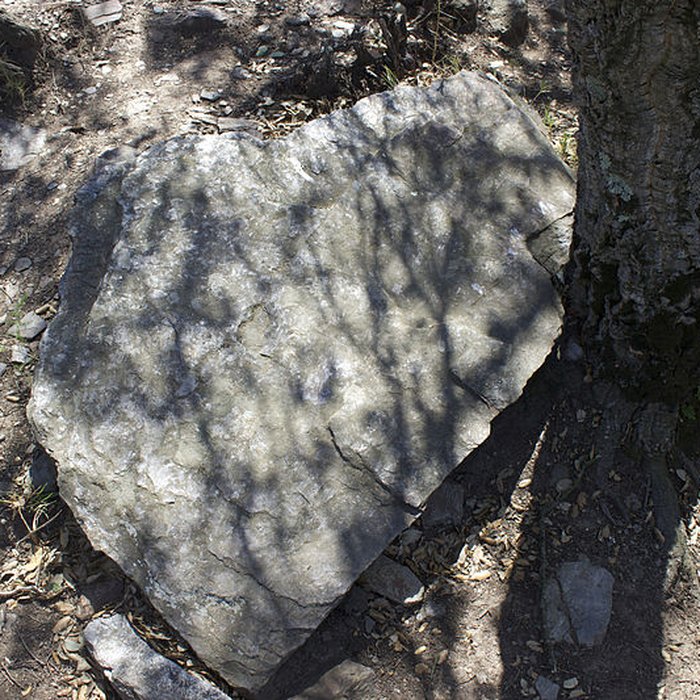 Photo de Dolmen des Collets de Cotlliure à Argelès-sur-Mer