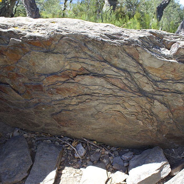 Photo de Dolmen des Collets de Cotlliure à Argelès-sur-Mer
