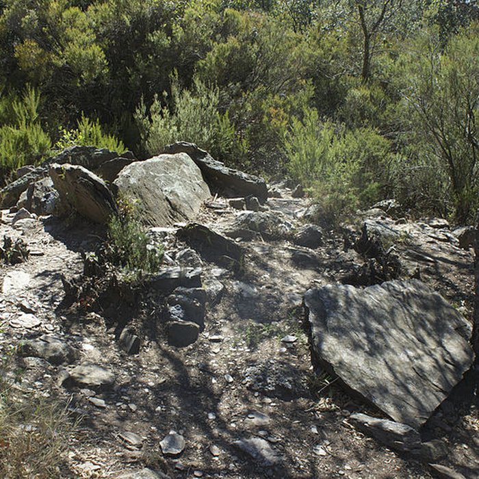 Photo de Dolmen des Collets de Cotlliure à Argelès-sur-Mer