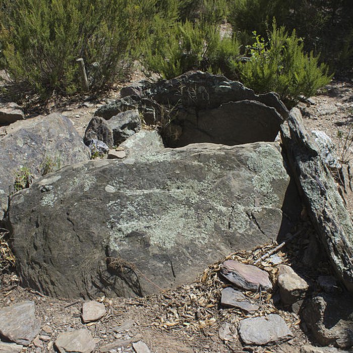 Photo de Dolmen des Collets de Cotlliure à Argelès-sur-Mer