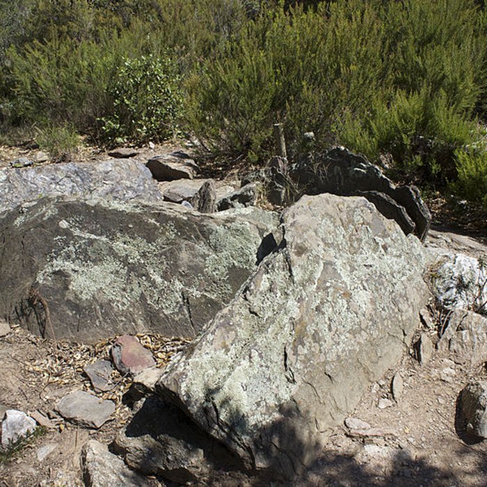 Photo de Dolmen des Collets de Cotlliure à Argelès-sur-Mer