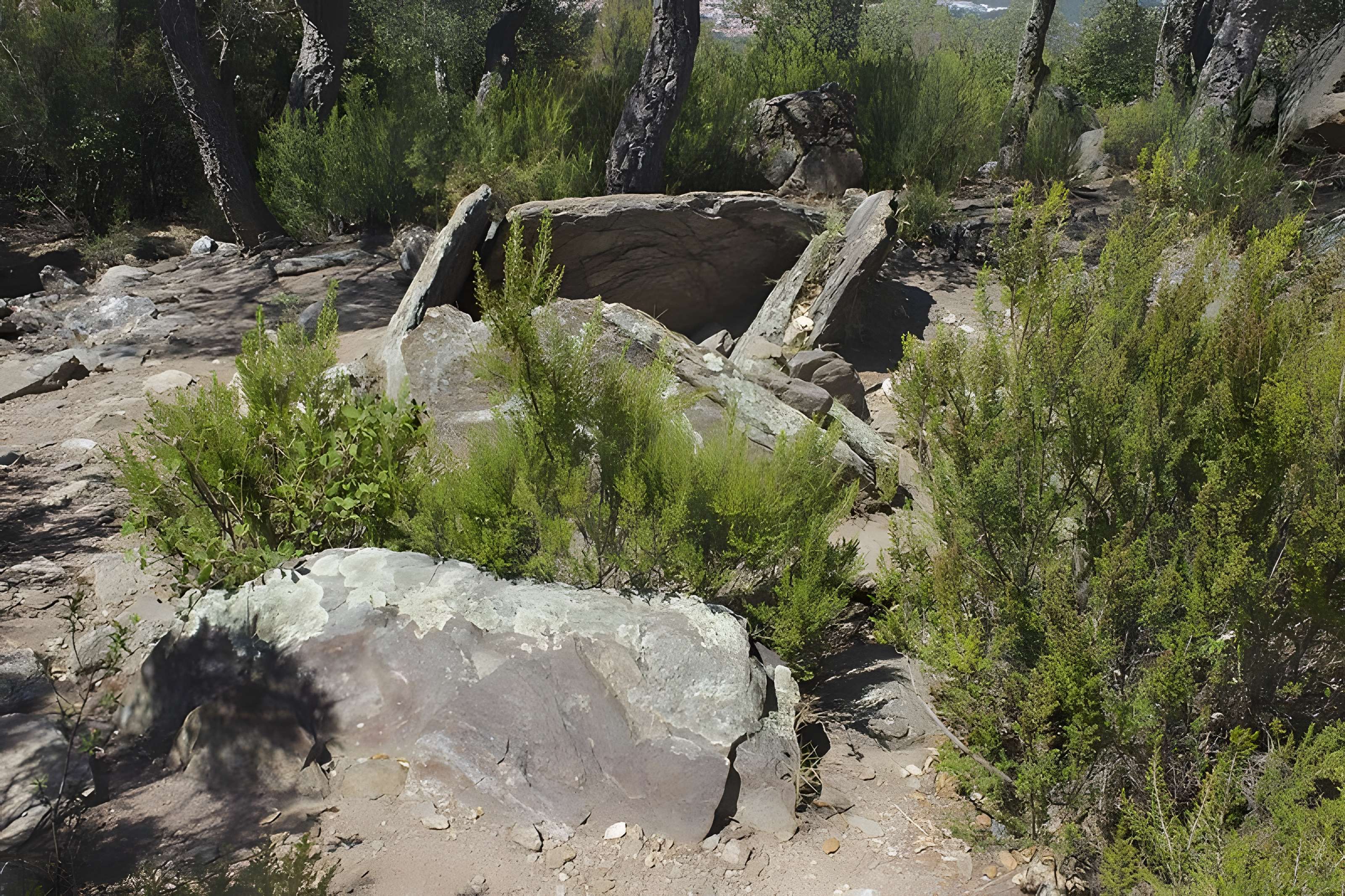 Dolmen des Collets de Cotlliure à Argelès-sur-Mer 